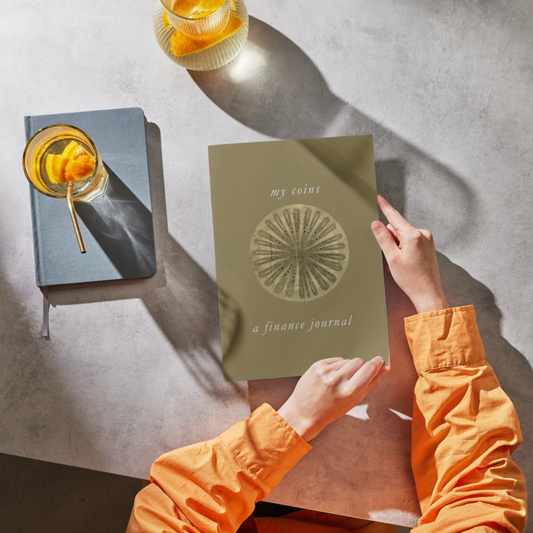 Financial Planner Template Printable Monthly Budget, Expenses, Savings Tracker & Debt Management Budget Binder