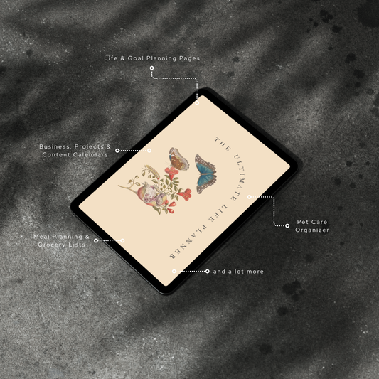 Printable Life Planner PDF Health, Wealth, Mental Wellness & Finances Organizer Ultimate Life Binder Instant Download