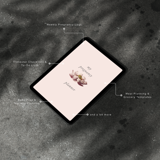 Pregnancy Planner Printable, Expecting Mom Journal, Digital Pregnancy Tracker, Baby Milestone Organizer, PDF download