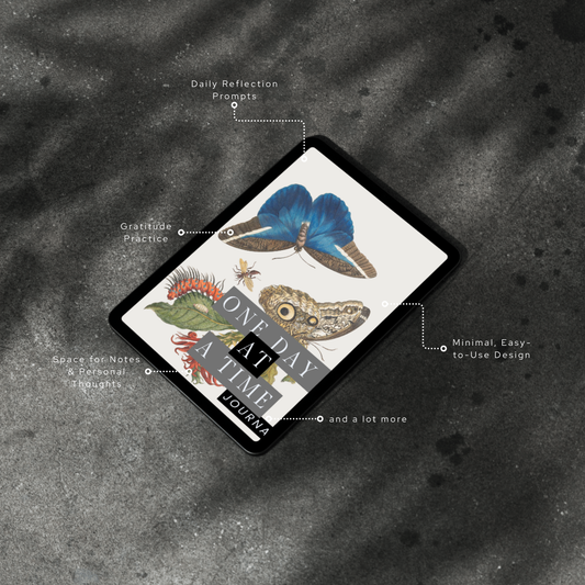 ONE DAY AT A TIME JOURNAL (Digital)