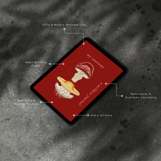 Mental Wellness Journal Digital Self Care Journal Mindfulness Journal Meal Planner Mental Health Fitness Tracker Instant Download