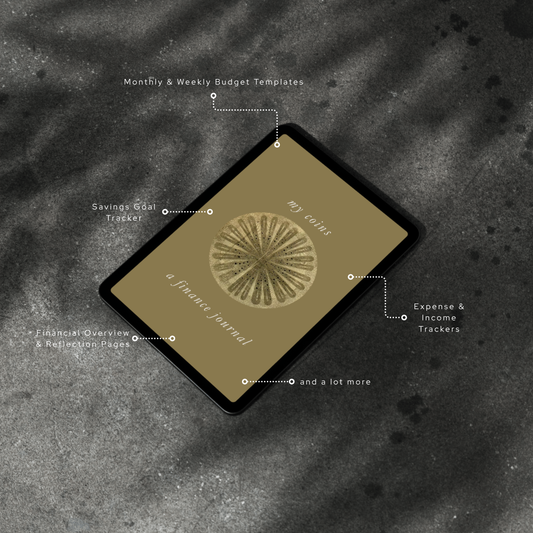 Financial Planner Template Printable Monthly Budget, Expenses, Savings Tracker & Debt Management Budget Binder PDF Download