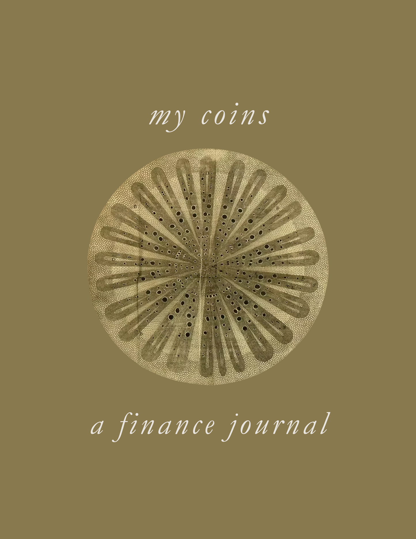 Financial Planner Template Printable Monthly Budget, Expenses, Savings Tracker & Debt Management Budget Binder