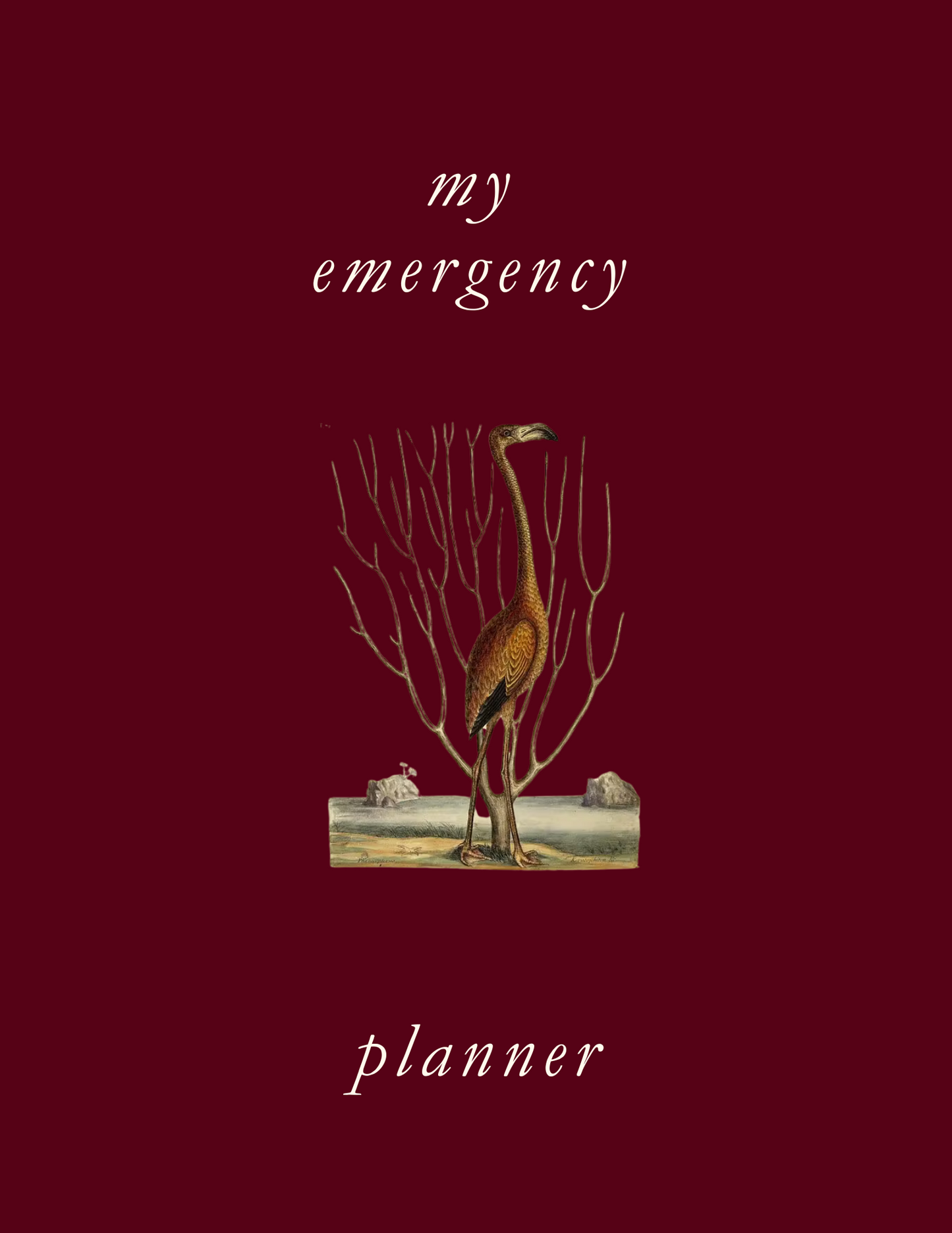 Emergency Family Binder Printable What If Binder for Disasters, Medical Organizer & Emergency Plan Prepper