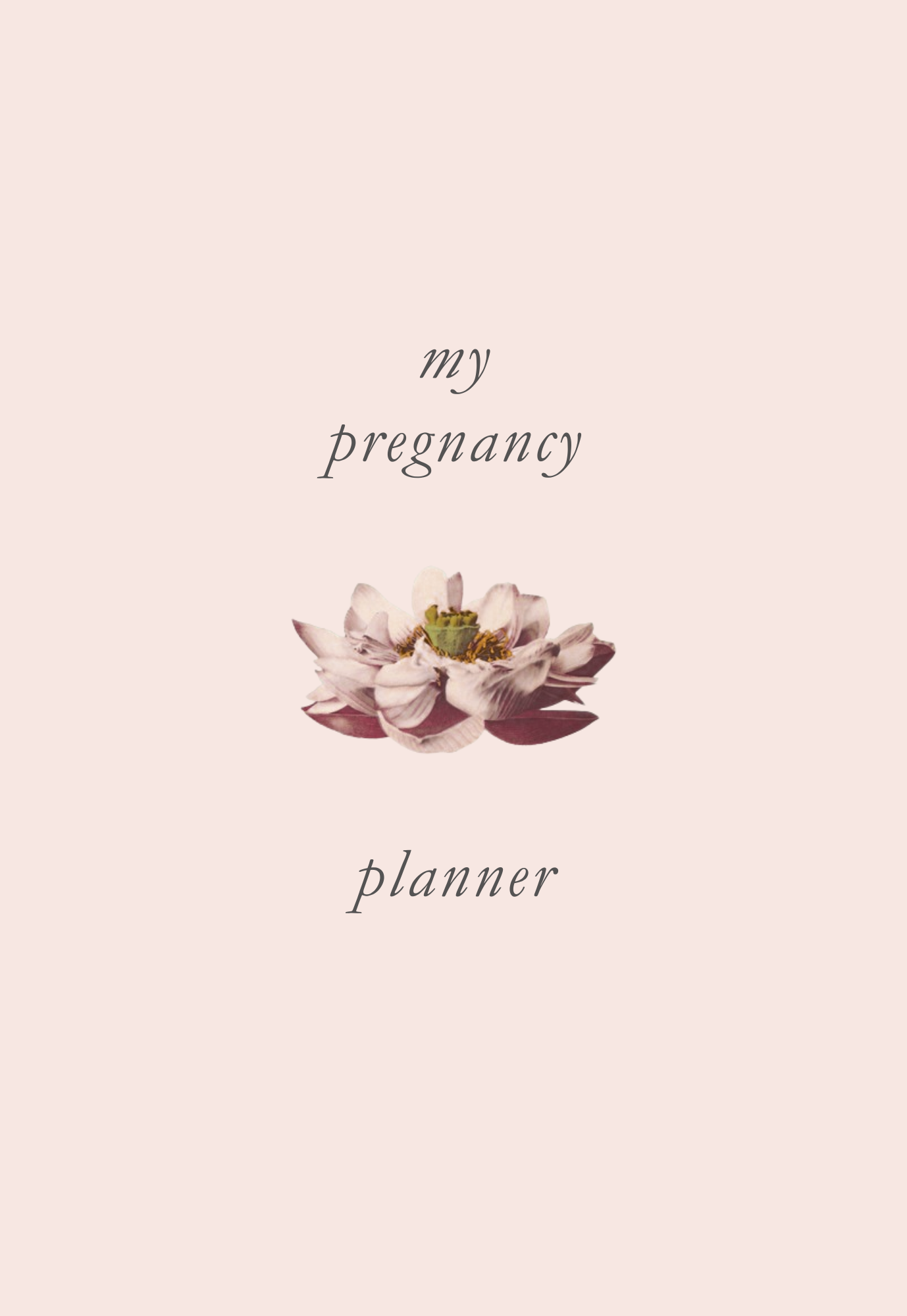 Pregnancy Planner Printable, Expecting Mom Journal, Digital Pregnancy Tracker, Baby Milestone Organizer, PDF