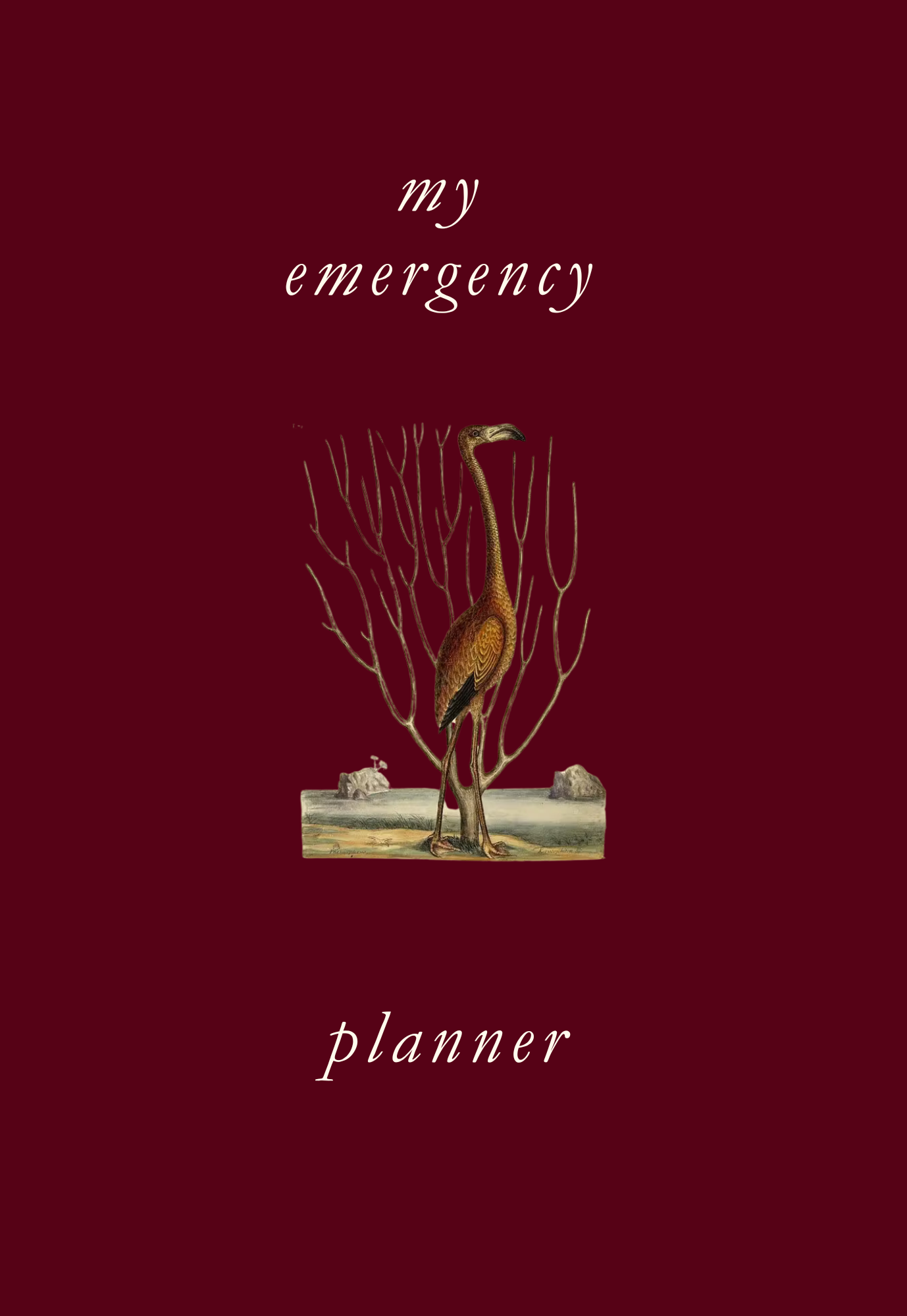 Emergency Family Binder Printable What If Binder for Disasters, Medical Organizer & Emergency Plan Prepper Planner PDF