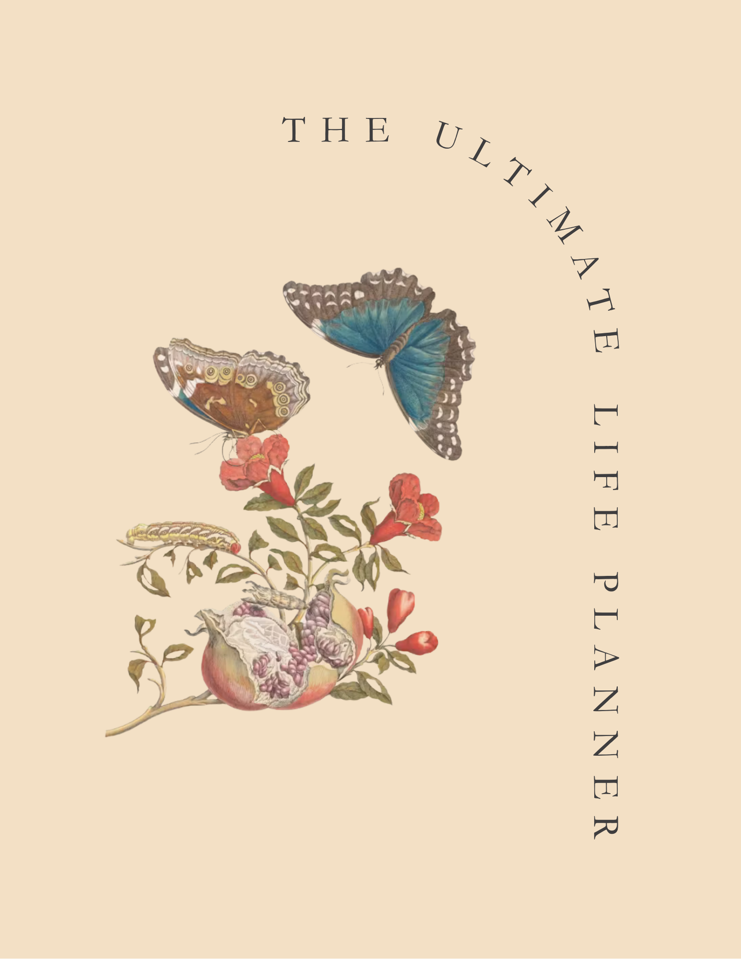 Life Planner PDF Health, Wealth, Mental Wellness & Finances Organizer Ultimate Life Binder