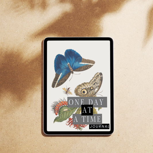ONE DAY AT A TIME JOURNAL (Digital)