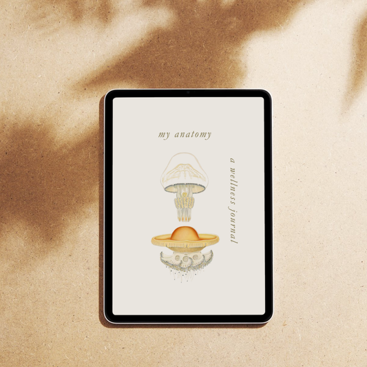 Mental Wellness Journal Digital Self Care Journal Mindfulness Journal Meal Planner Mental Health Fitness Tracker Instant Download