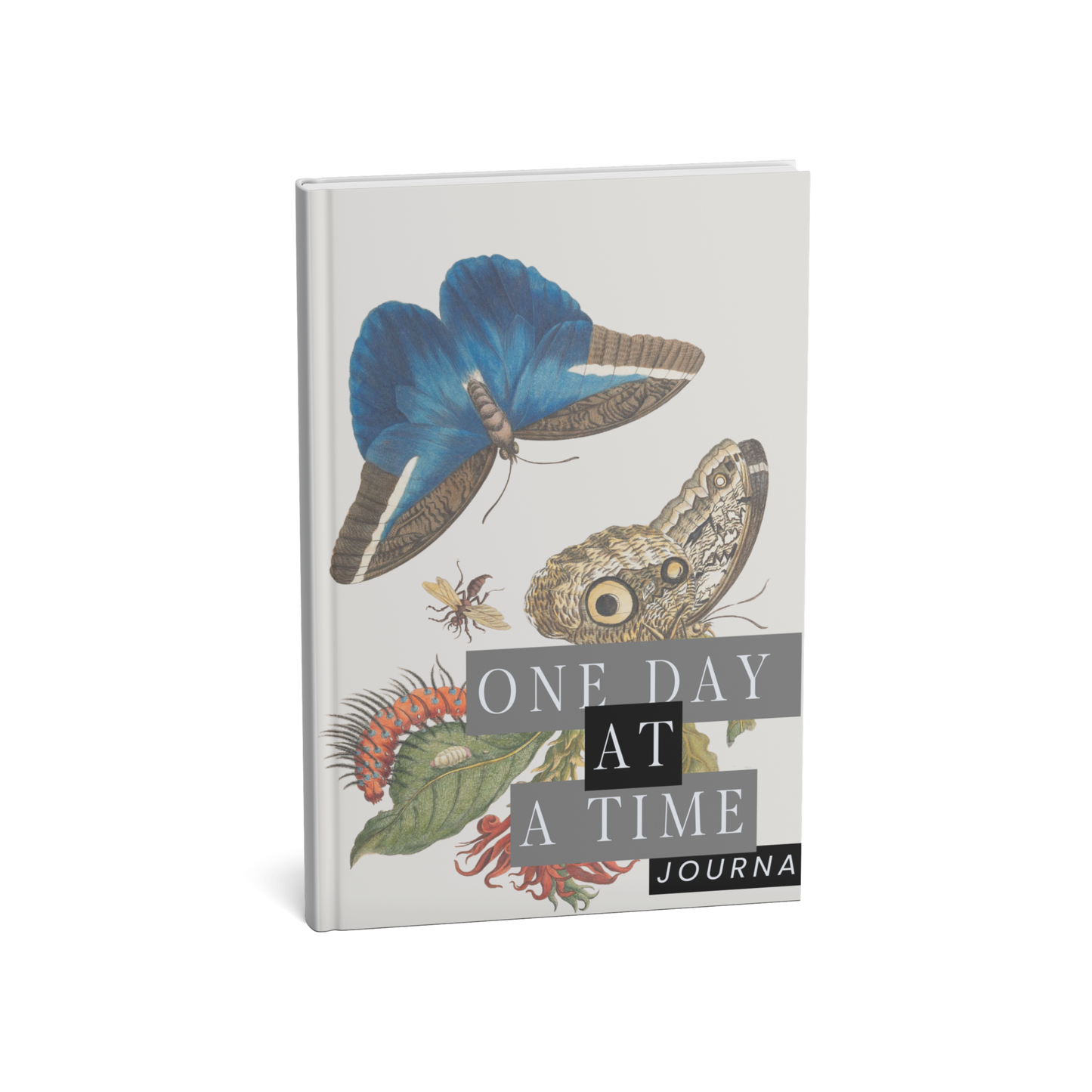 ONE DAY AT A TIME JOURNAL (Printed Edition)