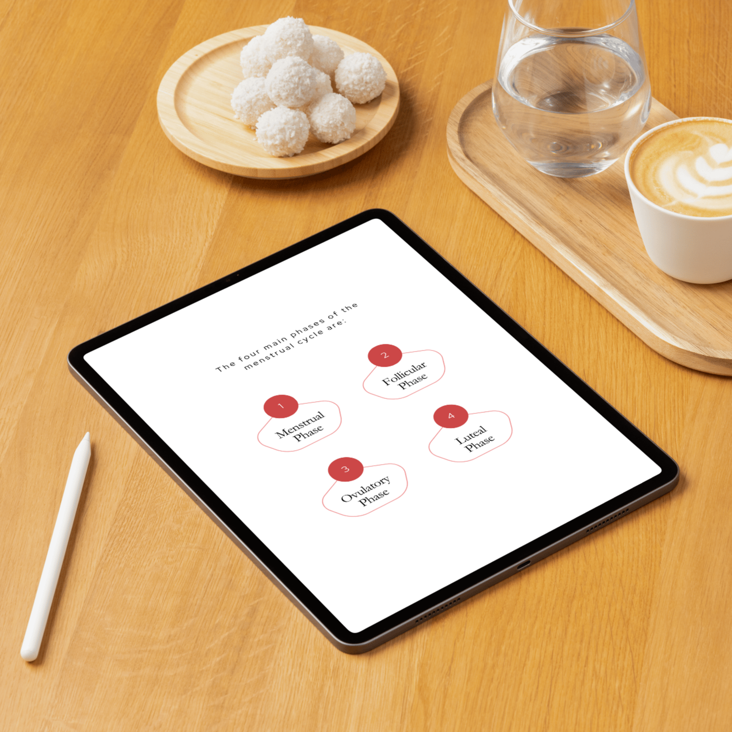 CYCLE SYNCING JOURNAL (Digital)