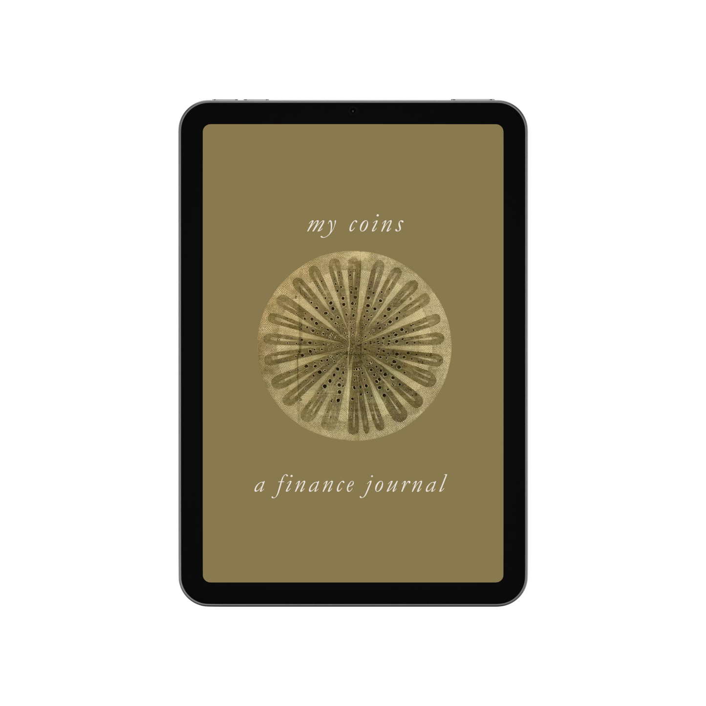 FINANCE JOURNAL (Digital)