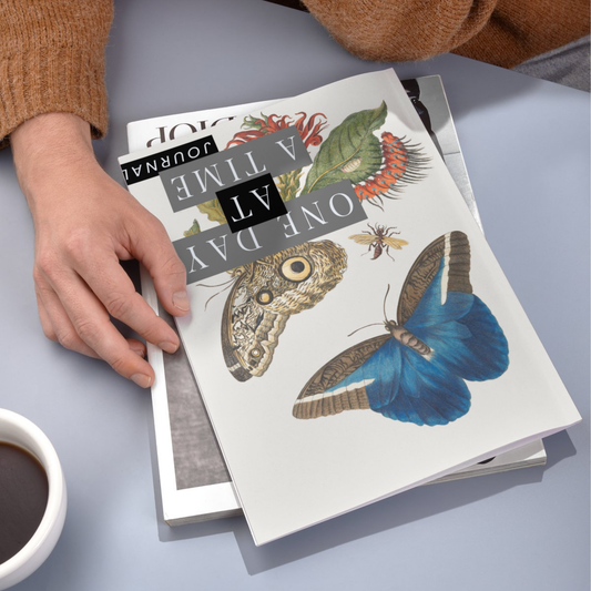 ONE DAY AT A TIME JOURNAL (Printed Edition)