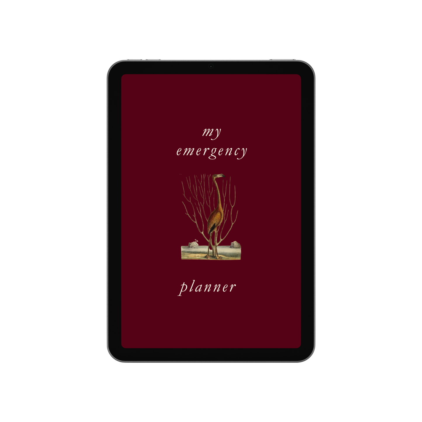 MY EMERGENCY PLANNER (Digital)