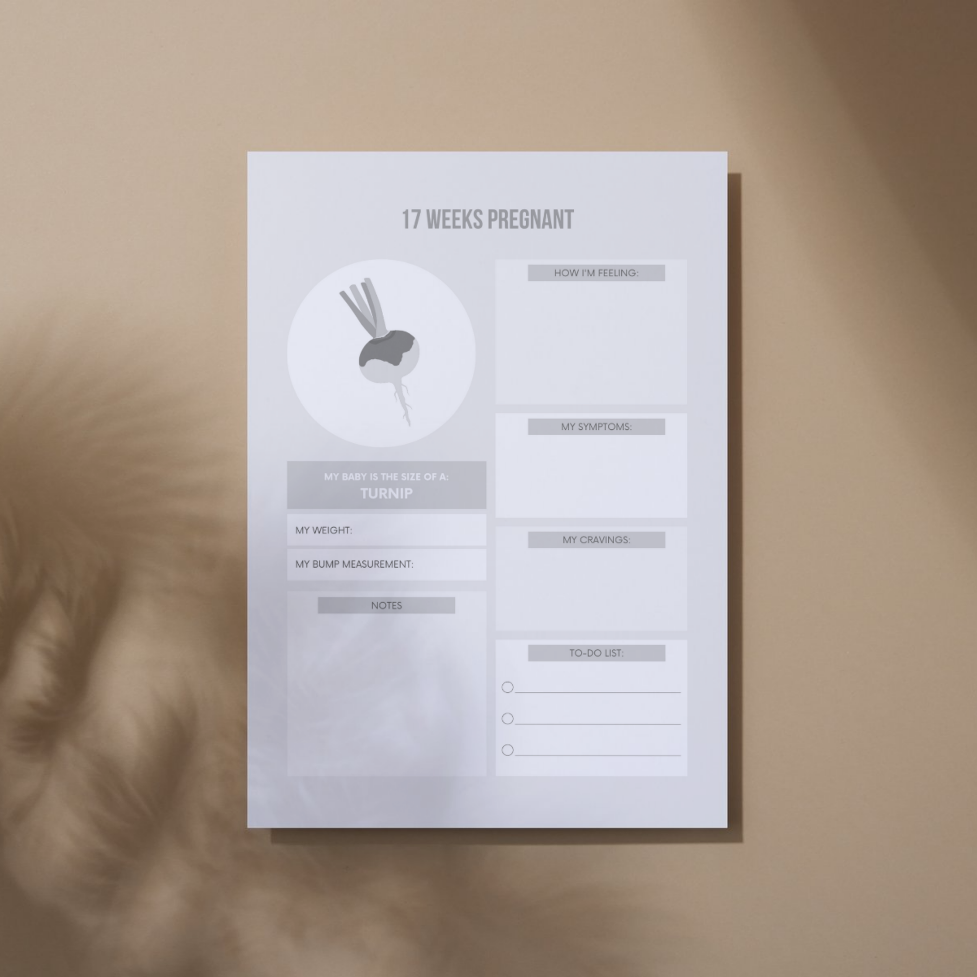 Pregnancy Planner Printable, Expecting Mom Journal, Digital Pregnancy Tracker, Baby Milestone Organizer