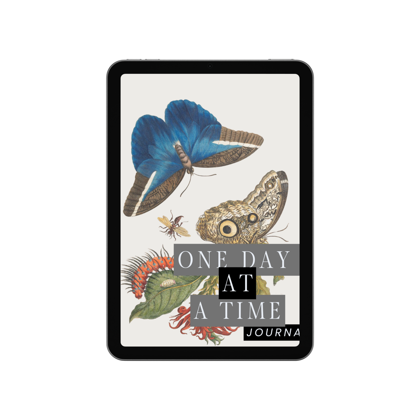 ONE DAY AT A TIME JOURNAL (Digital)