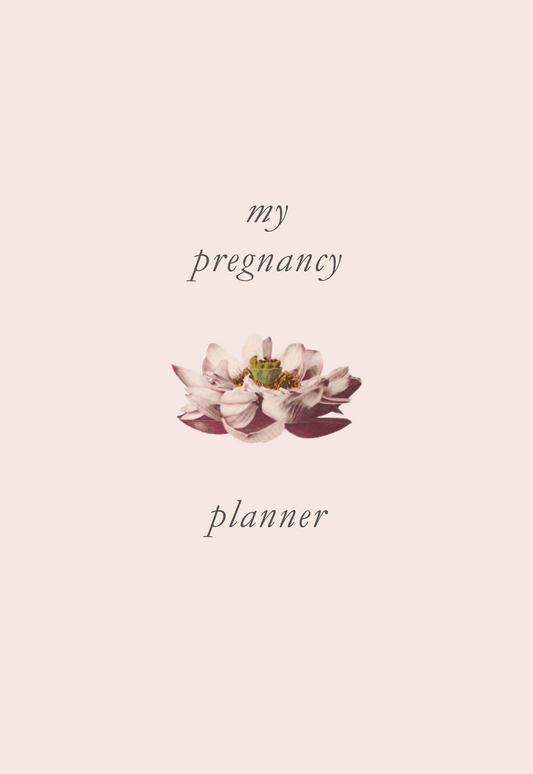 Pregnancy Planner Printable, Expecting Mom Journal, Digital Pregnancy Tracker, Baby Milestone Organizer, PDF