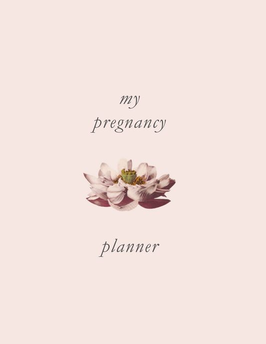Pregnancy Planner Printable, Expecting Mom Journal, Digital Pregnancy Tracker, Baby Milestone Organizer
